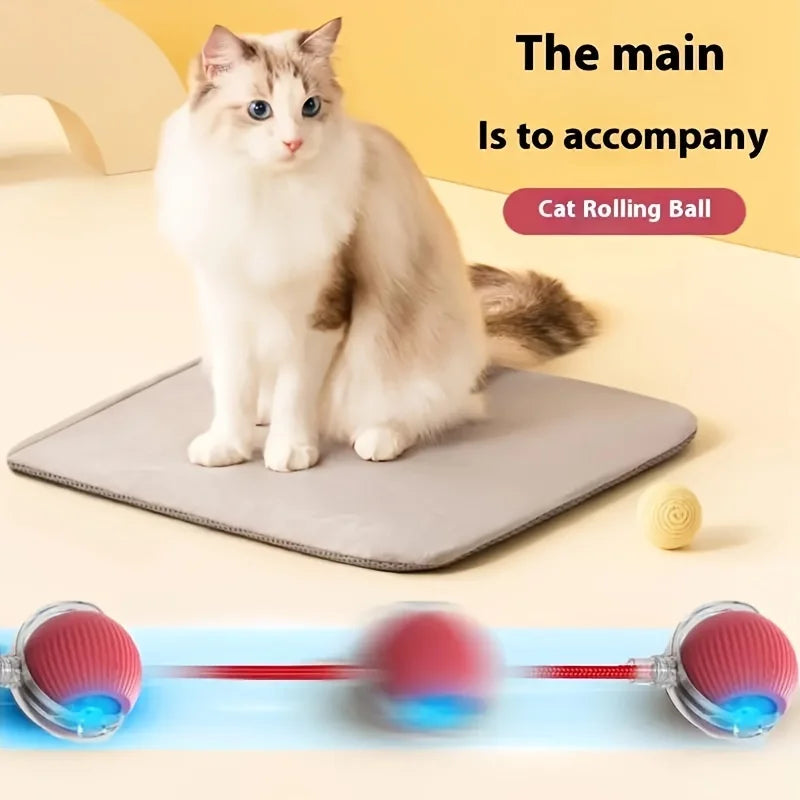 Fynero™ – MotionCat Ball