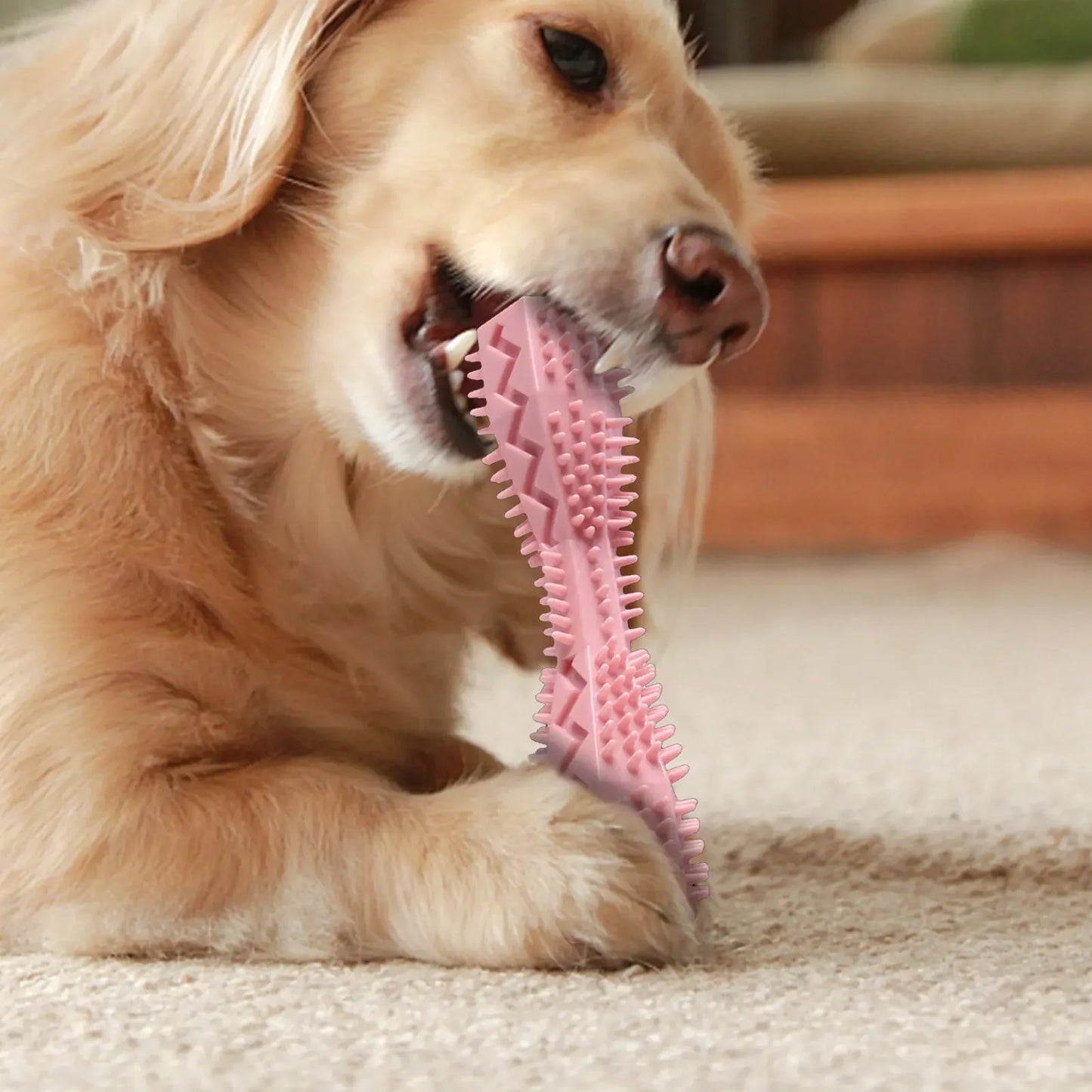 Fynra™ – OralClean Chew