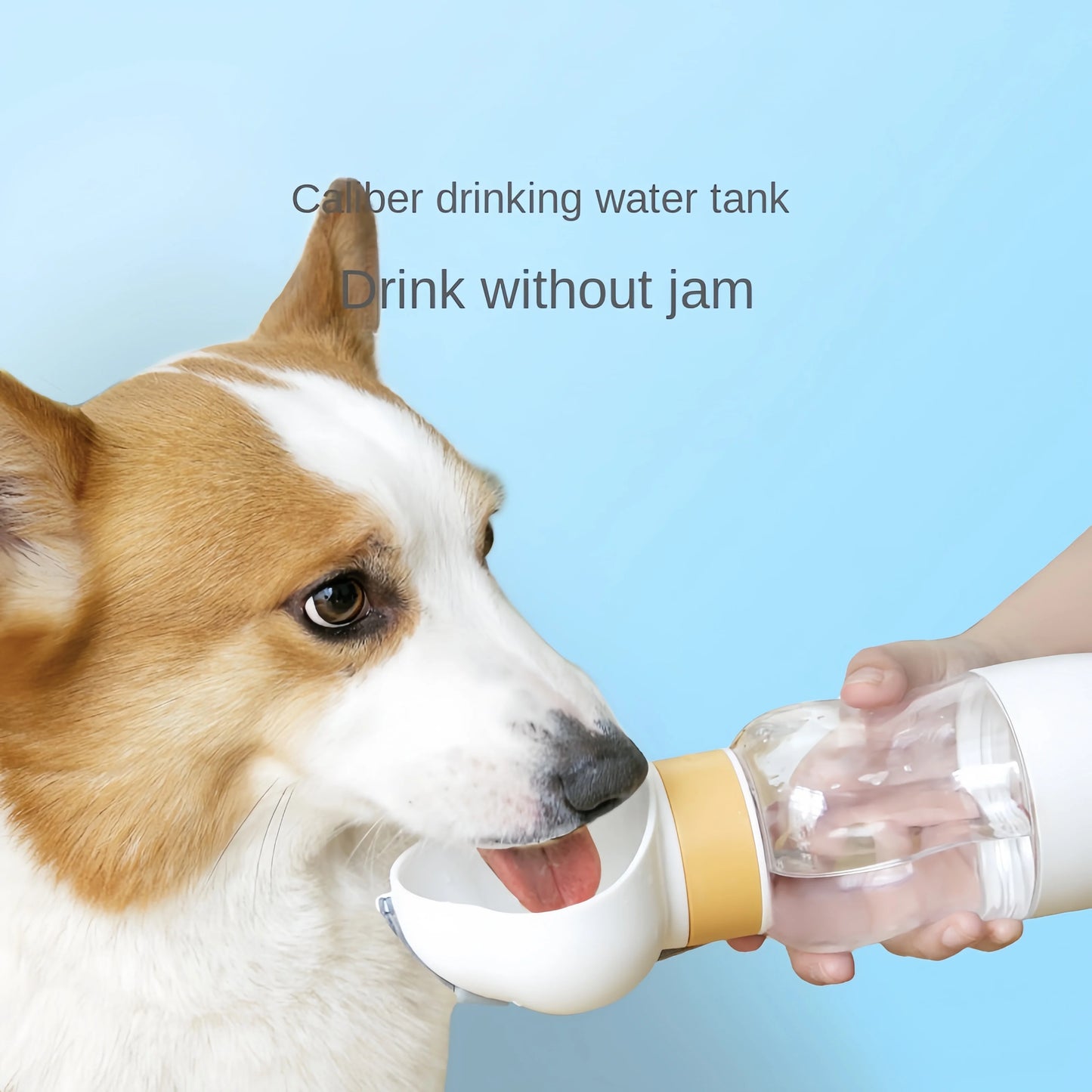 Aivra™ – Dual Travel Pet Bottle