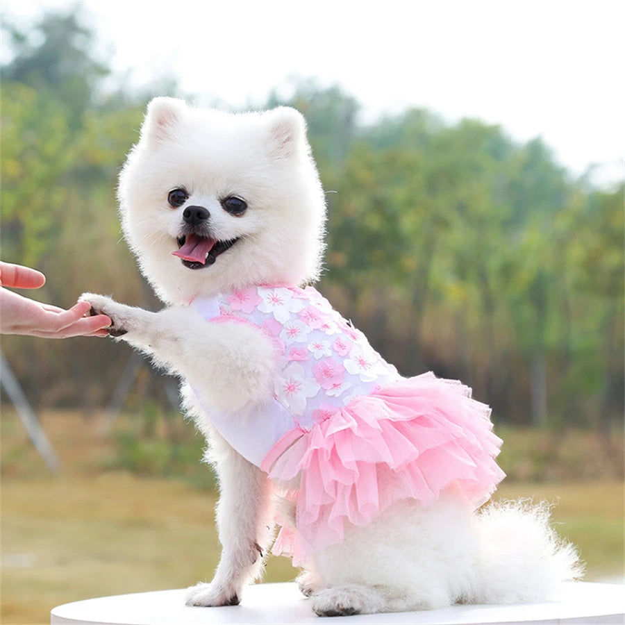 Risla™ – Bloom Pet Dress