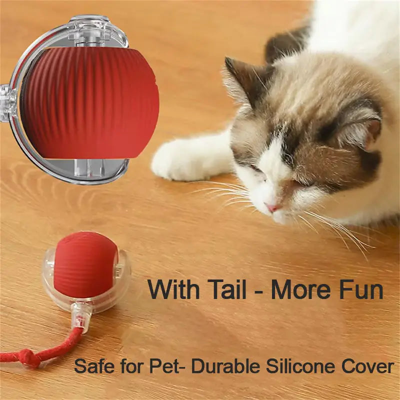 Fynero™ – MotionCat Ball