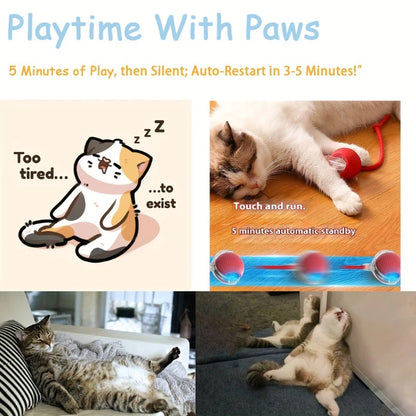 Fynero™ – MotionCat Ball